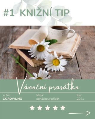 Koupili jste si obal na knihu a zvažujete co číst, co do něj dát? Mám pro vás tip. Mrkněte na něj! 👆 🌿 A že je vánoční?...